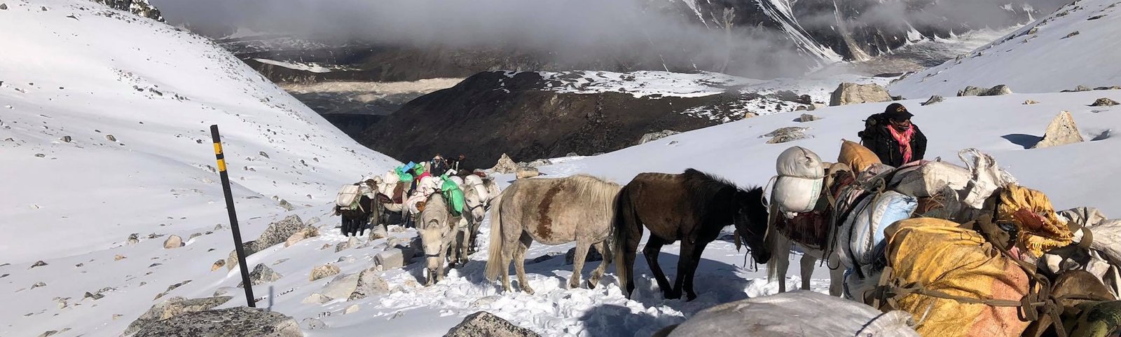 En_tete_1_retour depuis Manang_mai_2020